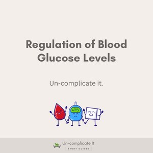 Diagrama de regulación de los niveles de glucosa en sangre