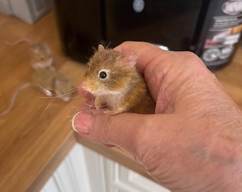 Ratón de cosecha salvaje realista hecho con fieltro de aguja