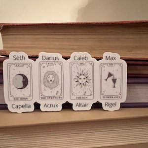 Adesivo de tarô The Boys of Zodiac Academy pequeno, adesivo de tarô, tarô do zodíaco, amante de livros, Darius, Max, Seth, Caleb
