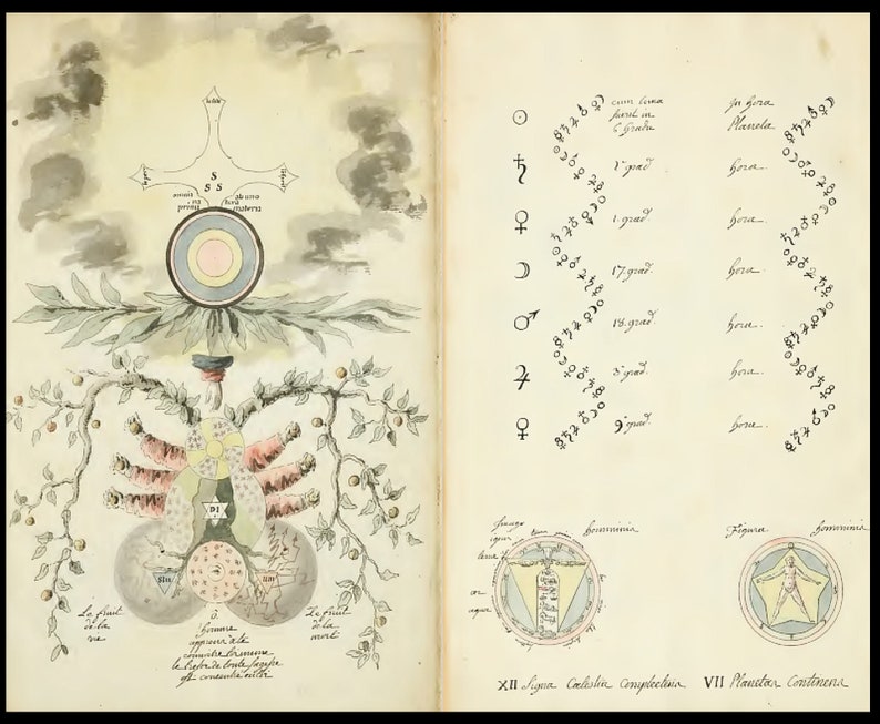 ALCHEMIE & ALCHEMISCHE MANUSKRIPTE 135 alte Bücher Antike mittelalterliche chemische Wissenschaft, Elixier, Heilmittel, alte Ägypter, griechische Alchemisten Bild 5