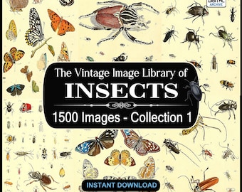 May include: A vintage illustration of a collection of insects, including butterflies, beetles, and moths. The image is titled "The Vintage Image Library of Insects" and "1500 Images - Collection 1".