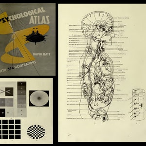 May include: A vintage book cover titled "Psychological Atlas" by David Katz with 396 illustrations. The cover features a yellow and black abstract design.