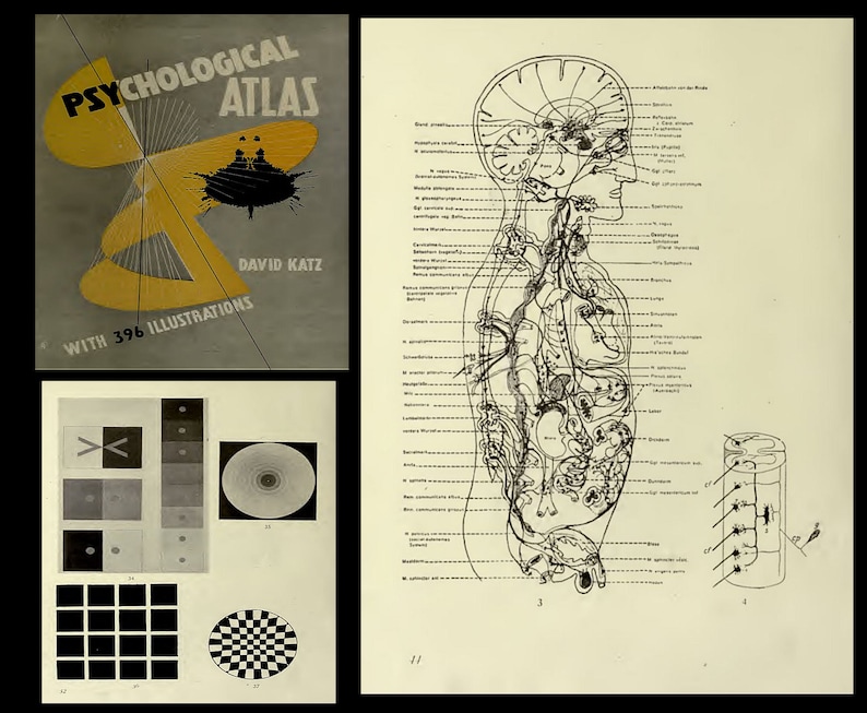 May include: A vintage book cover titled "Psychological Atlas" by David Katz with 396 illustrations. The cover features a yellow and black abstract design.