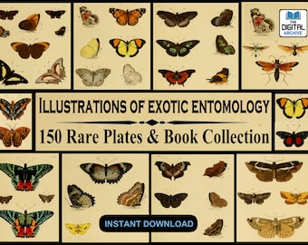 150 Rare Exotic Entomology Image Illustrations & Book Collection Of Natural History