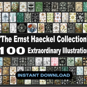 ERNST HAECKEL COLLECTION - 100 Illustrations - Art Forms in Nature Kunstformen der Natur, lithographic Images, Art Nouveau - Hi-Res 600 dpi