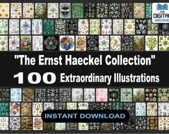 ERNST HAECKEL COLLECTION - 100 Illustrations - Art Forms in Nature Kunstformen der Natur, lithographic Images, Art Nouveau - Hi-Res 600 dpi