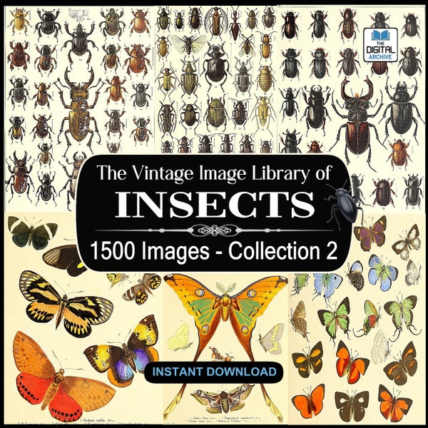 1500 Insect Images, Art, illustrations -  Ants,Bees,Butterfly,Wasp,Beetle,Bugs,Moths,Flies,Insecta,arthropod - JPG DOWNLOAD - COLLECTION 2