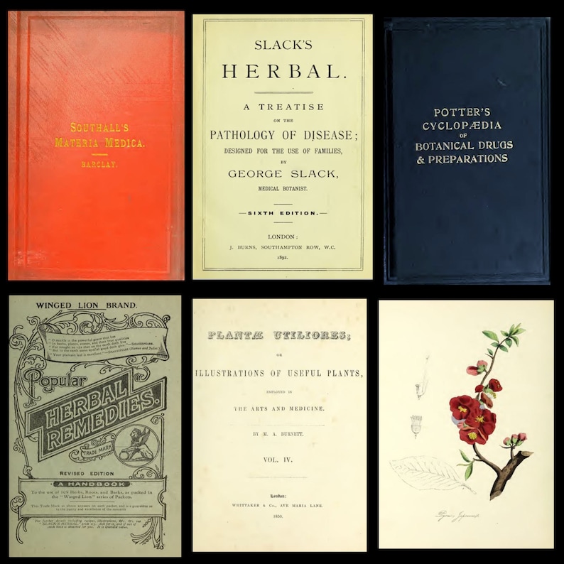 Puede incluir: Una colecci&oacute;n de seis cubiertas de libros antiguos. Las cubiertas son de diferentes colores y tienen diferentes t&iacute;tulos. Los t&iacute;tulos incluyen "Slack's Herbal", "Southall's Materia Medica", "Potter's Cyclopaedia of Botanical Drugs & Preparations", "Popular Herbal Remedies", "Plantae Utiliores; Illustrations of Useful Plants", y "The Arts and Medicine".