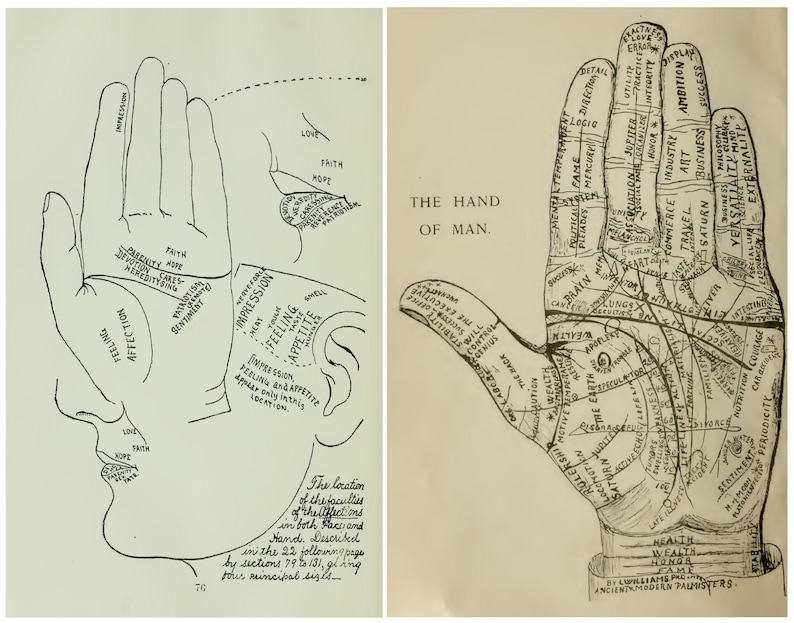 Chiromancer Vintage Palmistry Books - Hand/palm Reading & Chiromancy Library - 48 ...