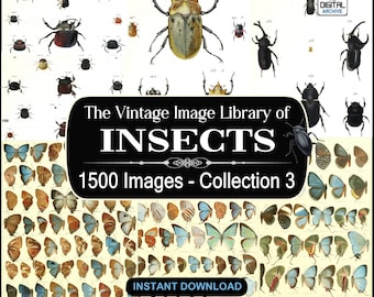 1500 Insekten Bilder, Kunst, Illustrationen - Ameisen,Bienen,Schmetterling,Wespe,Käfer,Käfer,Motten,Fliegen,Insecta,Gliederfüßer - JPG DOWNLOAD - KOLLEKTION 3