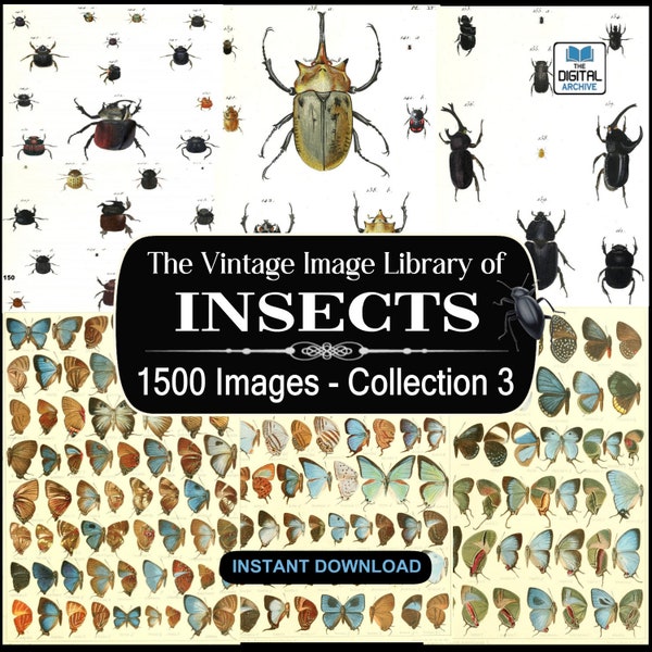 1500 Insect Images, Art, illustrations -  Ants,Bees,Butterfly,Wasp,Beetle,Bugs,Moths,Flies,Insecta,arthropod - JPG DOWNLOAD - COLLECTION 3