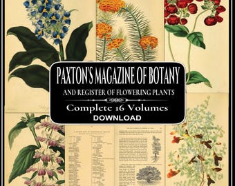 Paxtons Magazine of Botany 16 volumes - Livres de jardinage, illustrations en couleur, fleurs exotiques (téléchargement PDF)