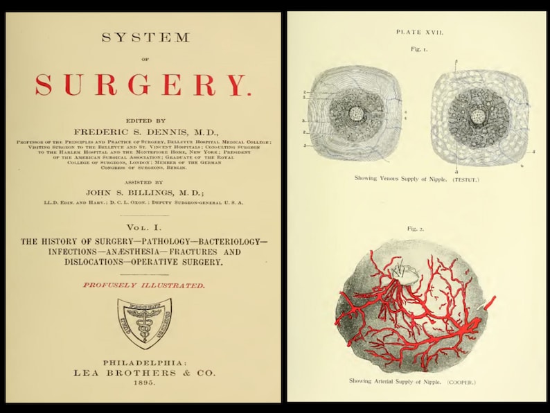 25 OLD MEDICAL BOOKS Rare Illustrated Reference Works & Textbooks Physicians, Vintage, Medicine, Surgeon, Surgery, Grays Human Anatomy image 6