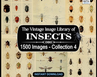 1500 Insekten Bilder, Fotos, Kunst, Illustrationen - Ameisen,Bienen,Schmetterling,Wespe,Käfer,Käfer,Motten,Fliegen,Gliederfüßer - JPG DOWNLOAD - COLLECTION 4