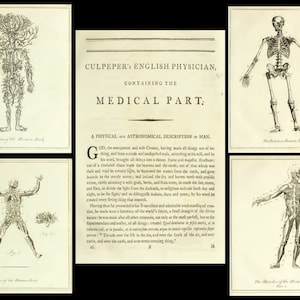 25 OLD MEDICAL BOOKS Rare Illustrated Reference Works & Textbooks Physicians, Vintage, Medicine, Surgeon, Surgery, Grays Human Anatomy image 5