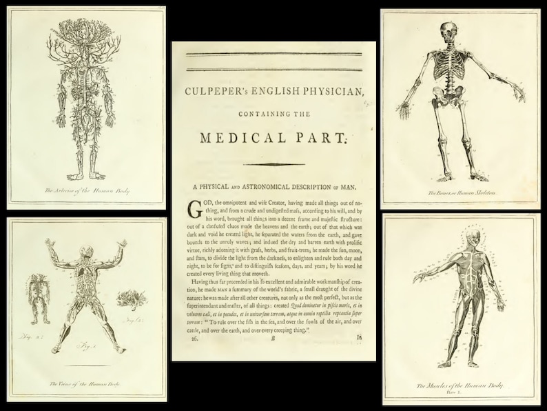 25 OLD MEDICAL BOOKS Rare Illustrated Reference Works & Textbooks Physicians, Vintage, Medicine, Surgeon, Surgery, Grays Human Anatomy image 5