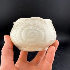 Puede incluir: Un pequeño cuenco de cerámica blanquecina con un borde festoneado y un diseño texturizado en forma de concha. El cuenco se sostiene en una mano sobre un fondo oscuro. El interior del cuenco es liso y brillante.