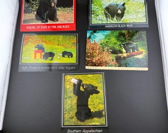 Juego de 5 postales vintage de oso negro