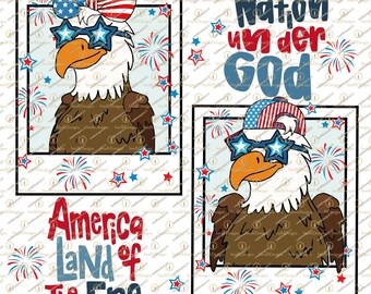 USA Patriotic Cute Bald Eagle PNG, Instant digital download, Sublimation, July 4th Png, Christian Png, Stars and Stripes Png, Polaroid frame
