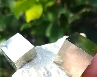 Cubic Pyrite on Basalt matrix, Ambasaquas, Spain, Spanish rock, mineral, crystal, obscure