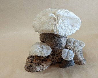 Svampkorall och träskulptur i vintagestil, Fungiidae-korall och träskulptur i järn, MCM-hylldekor, Älvaträdgård