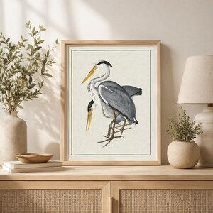 May include: A framed wall art print featuring a detailed illustration of two grey herons with long yellow beaks and slender legs. The birds are depicted in profile against a light cream background, enclosed within a thin dark green border.