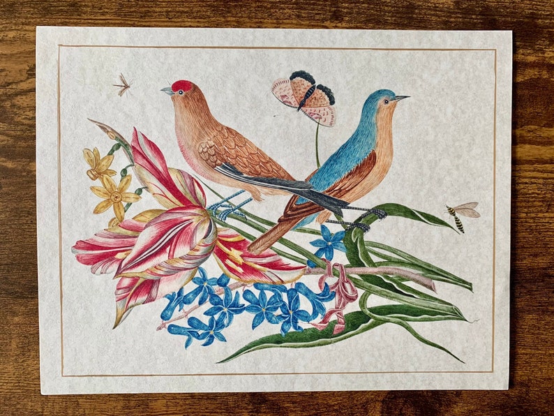 May include: A watercolour painting of two birds perched on a branch with pink and white flowers. The birds are a brown and red bird and a blue and brown bird. A butterfly is flying above the birds.