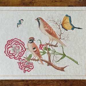 May include: A watercolour painting depicting two birds perched on a branch with pink carnations and a butterfly. The birds are brown and white with black eyes. The butterfly is yellow with blue accents.