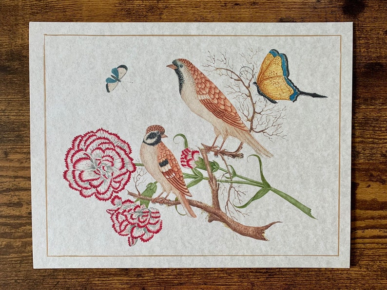 May include: A watercolour painting depicting two birds perched on a branch with pink carnations and a butterfly. The birds are brown and white with black eyes. The butterfly is yellow with blue accents.