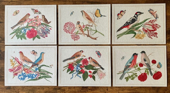 Antique Bird Prints Set, Vintage Ornithology Wall Art, Audubon Inspired Gallery Prints