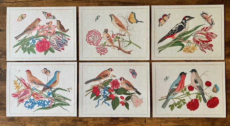 May include: Set of six cards featuring colourful illustrations of birds and flowers. Each card has a different bird species, including a bluebird, a robin, and a cardinal, surrounded by vibrant flowers and leaves.