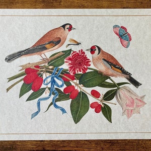 May include: A vintage illustration of two birds perched on a branch with red berries and a pink flower. The birds are brown and white with red accents. A blue butterfly is flying above the birds.