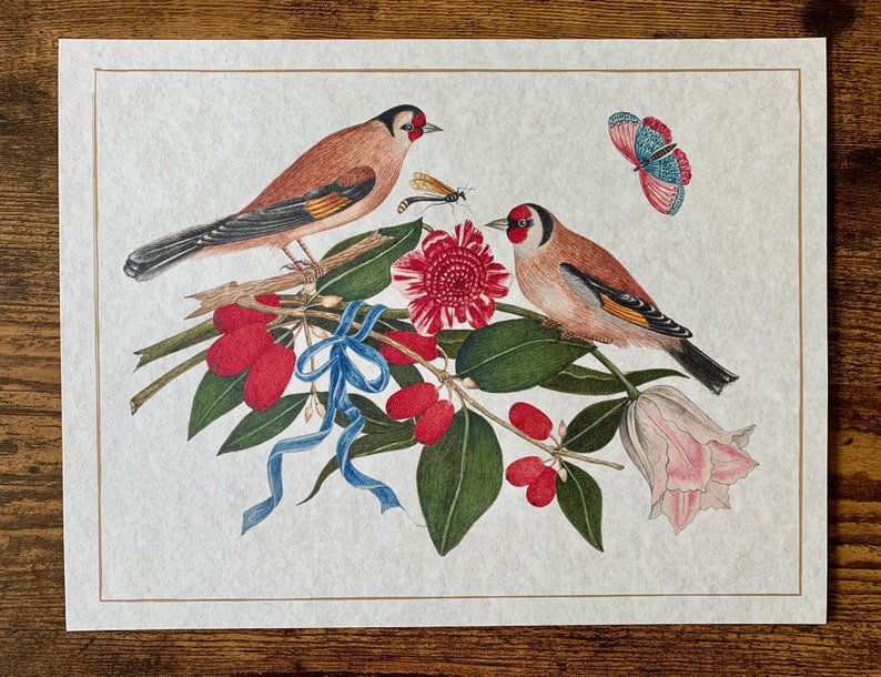 May include: A vintage illustration of two birds perched on a branch with red berries and a pink flower. The birds are brown and white with red accents. A blue butterfly is flying above the birds.