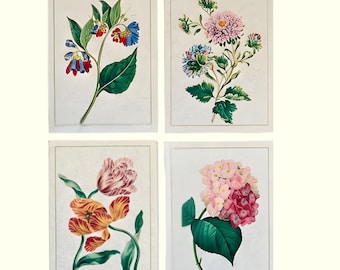 Vintage Botanical Flower Prints Set, 8x10 Antique Illustration Wall Art