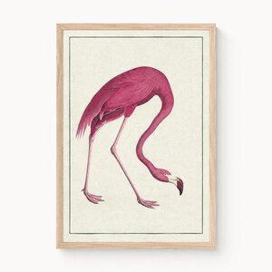 May include: A framed wall art print featuring a vibrant pink flamingo in a downward-facing posture. The bird is depicted with detailed plumage, long thin legs, and a curved neck. The artwork is set against a cream background with a thin green border.