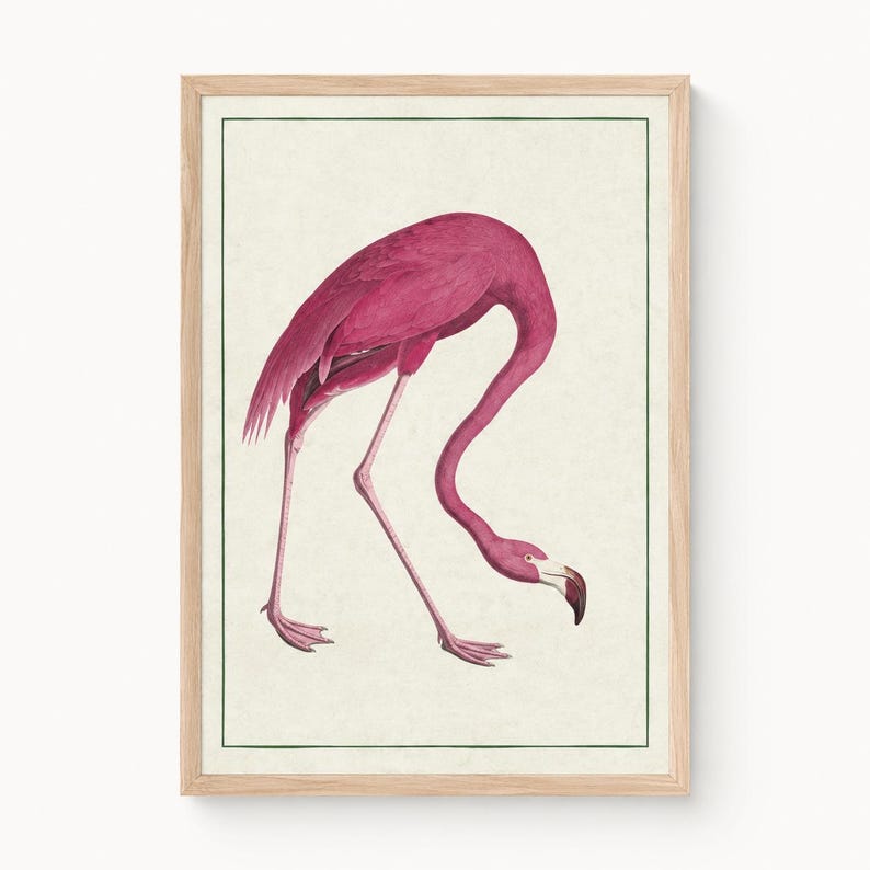 May include: A framed wall art print featuring a vibrant pink flamingo in a downward-facing posture. The bird is depicted with detailed plumage, long thin legs, and a curved neck. The artwork is set against a cream background with a thin green border.