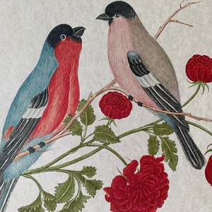 May include: A watercolour painting depicting two birds perched on a branch with red flowers. The bird on the left is blue and red, while the bird on the right is pink and grey. There are also two butterflies in the painting, one blue and one brown.