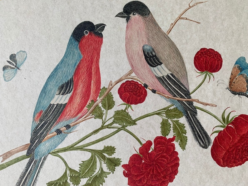 May include: A watercolour painting depicting two birds perched on a branch with red flowers. The bird on the left is blue and red, while the bird on the right is pink and grey. There are also two butterflies in the painting, one blue and one brown.