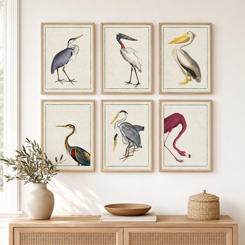 May include: A set of six framed wall art prints featuring detailed illustrations of various birds, including a grey heron, a white stork, a yellow-billed pelican, a tricolored heron, a grey heron, and a pink flamingo, all in light wood frames.