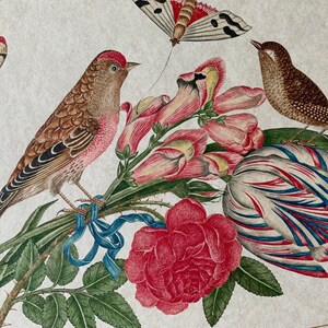 May include: A vintage illustration featuring a pink and brown bird perched on a branch of pink and white flowers. A butterfly with white and red wings is in the top left corner. A brown bird with a long tail is perched on a white and blue striped flower.