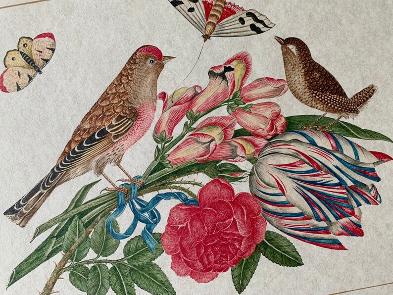 May include: A vintage illustration featuring a pink and brown bird perched on a branch of pink and white flowers. A butterfly with white and red wings is in the top left corner. A brown bird with a long tail is perched on a white and blue striped flower.