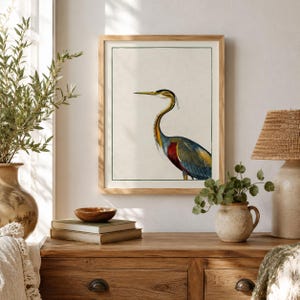 May include: A framed wall art print featuring a detailed illustration of a heron with a long neck, a sharp beak, and plumage in shades of blue, yellow, and red. The bird is depicted in profile against a light cream background within a thin green border.