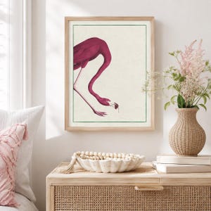 May include: A framed wall art print featuring a deep magenta flamingo with a curved neck, depicted in a minimalist style against a cream background. The illustration is enclosed within a thin green rectangular border, creating a clean visual focus.