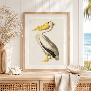 May include: A framed wall art print featuring a detailed illustration of a pelican with a long yellow beak, white and grey plumage, and yellow feet. The bird is depicted in profile against a light cream background, enclosed in a light wood frame.