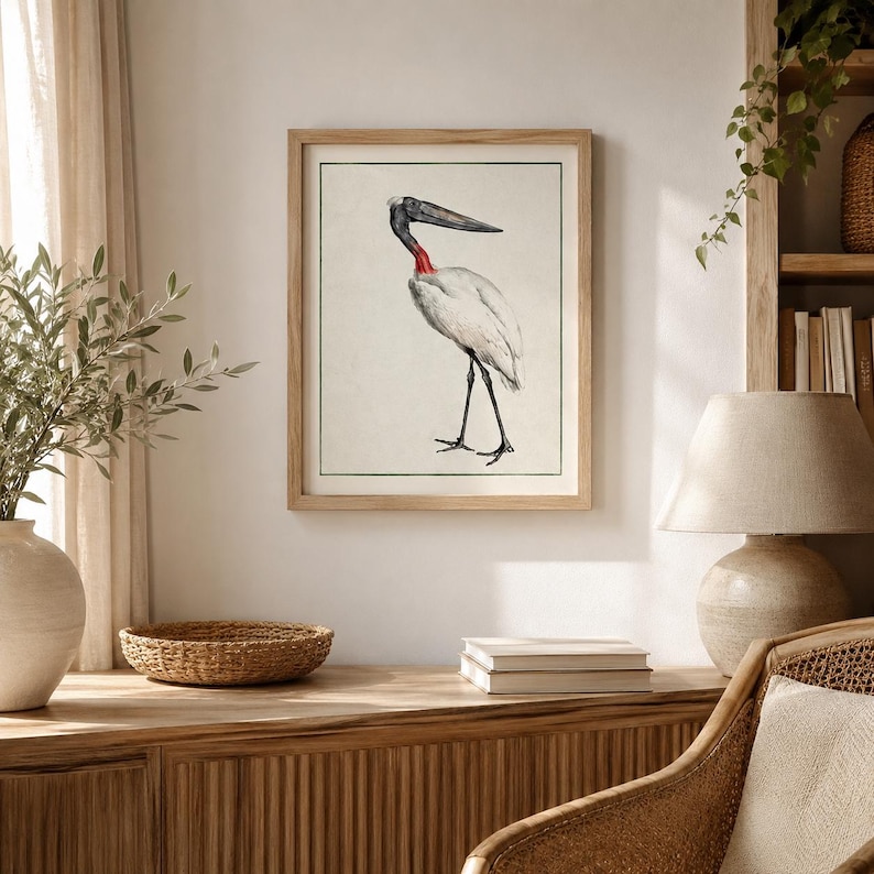 May include: A framed wall art print featuring a detailed illustration of a jabiru stork. The bird is depicted with white plumage, a black head and neck, and a distinct red band at the base of its throat. The artwork is set against a light background.