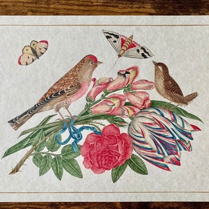 May include: A vintage illustration of a bird perched on a branch of a flowering plant with a butterfly and a wren. The flowers are pink, white, and blue. The bird is brown and pink with a long tail. The butterfly is white with black markings. The wren is brown with a long tail.