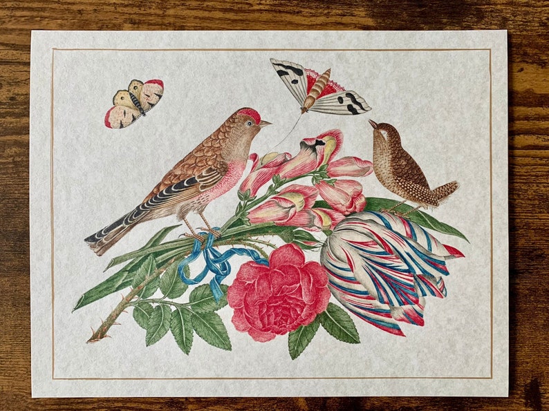 May include: A vintage illustration of a bird perched on a branch of a flowering plant with a butterfly and a wren. The flowers are pink, white, and blue. The bird is brown and pink with a long tail. The butterfly is white with black markings. The wren is brown with a long tail.