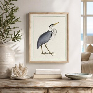 May include: A framed wall art print featuring a detailed illustration of a grey heron standing in profile. The bird has grey and white plumage, a long yellow beak, and thin legs. The artwork is set against a cream background with a thin green border.