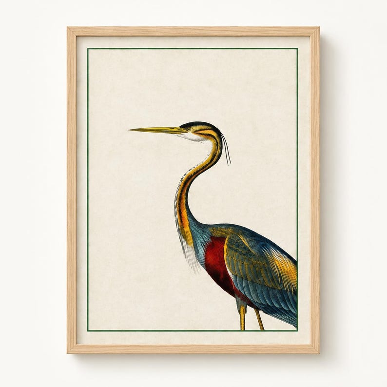 May include: A framed wall art print featuring a detailed illustration of a purple heron with a long neck, a sharp yellow beak, and plumage in shades of blue, gold, and deep red. The bird is set against a cream background with a thin green border.