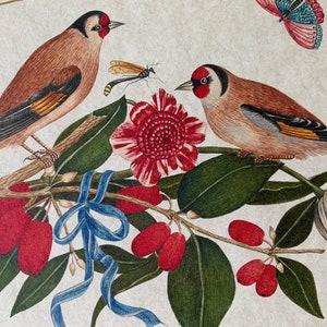 May include: Two red-breasted finches perched on a branch with green leaves and red berries. A blue ribbon is tied around the branch. A pink flower with a red centre is behind the birds. A butterfly with blue and pink wings is in the top right corner of the image.